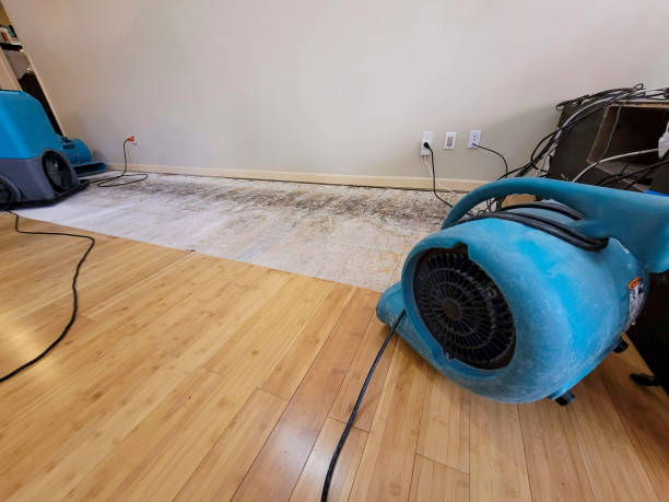 Professional Structural Drying technician working in McLeansville, NC